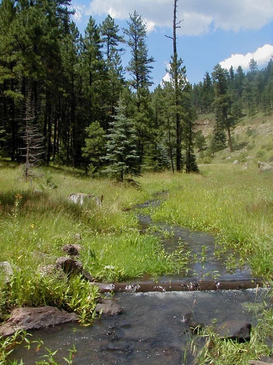 Coronado Trail Scenic Byway