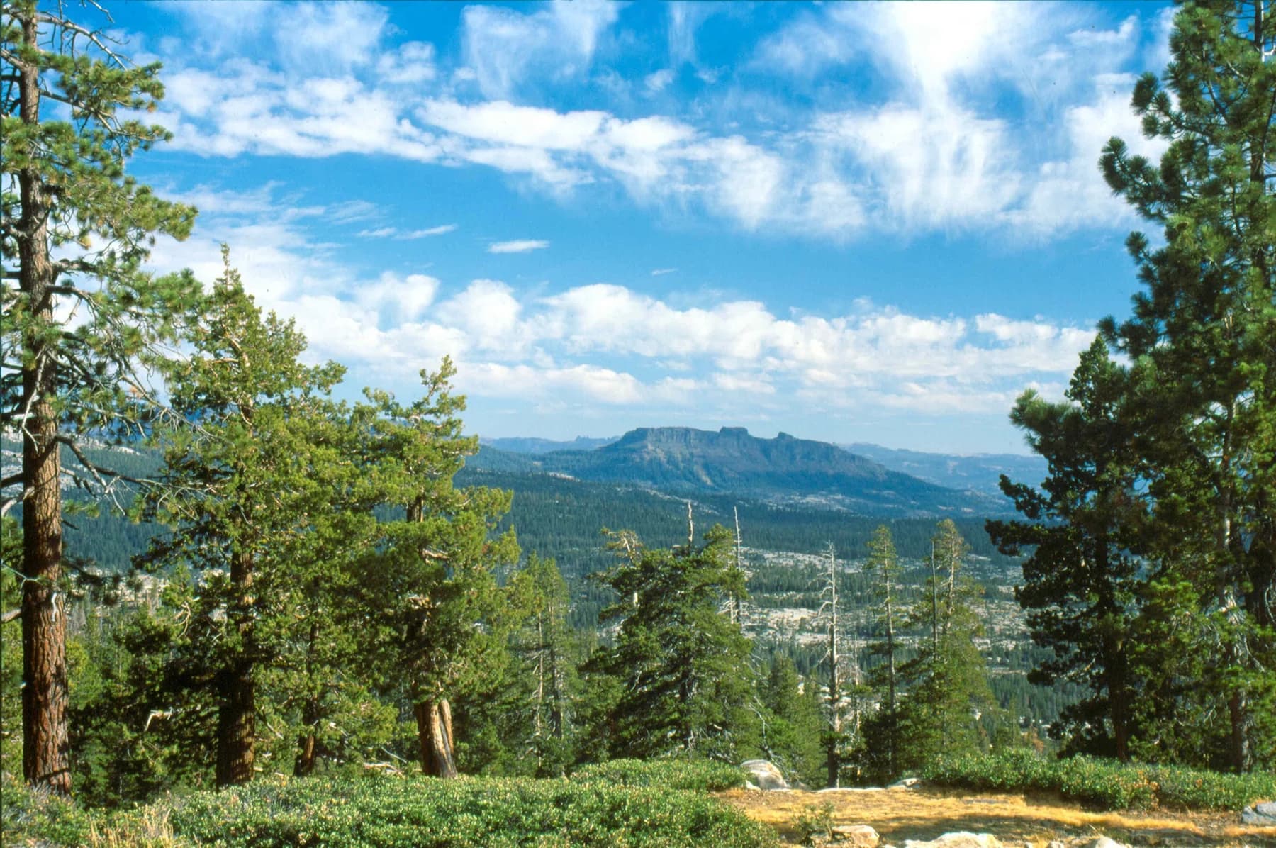 Ebbetts Pass Scenic Byway