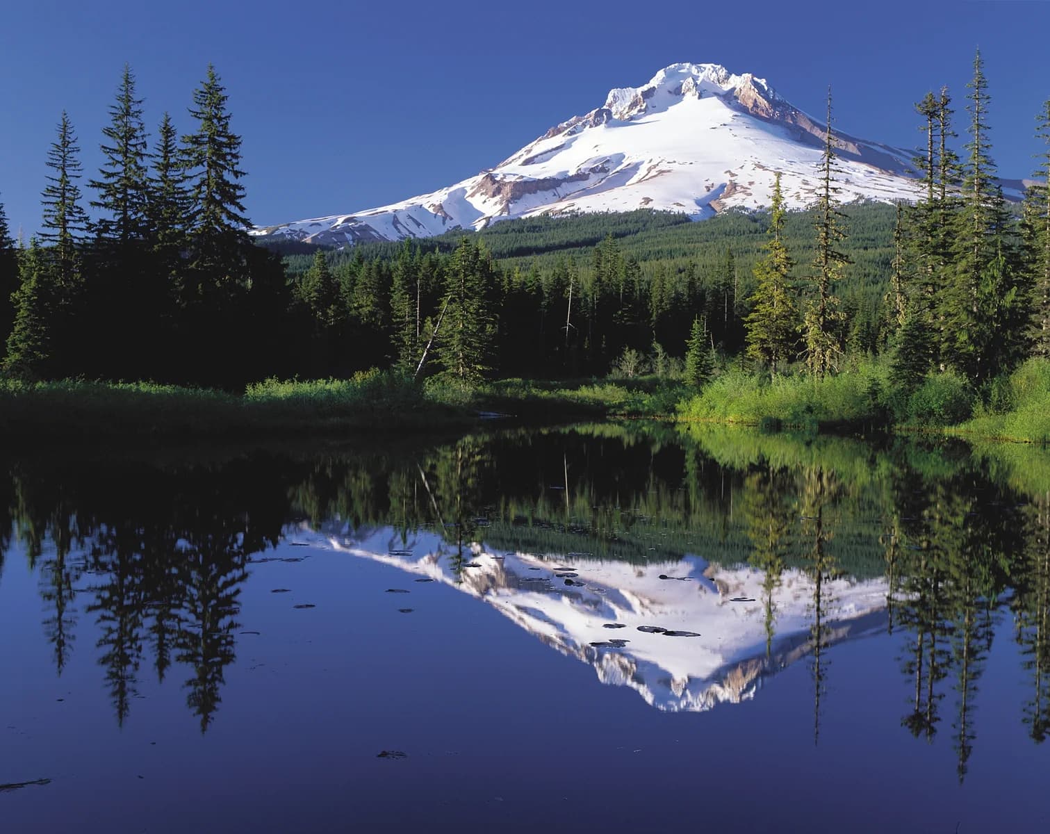 Mt. Hood Scenic Byway