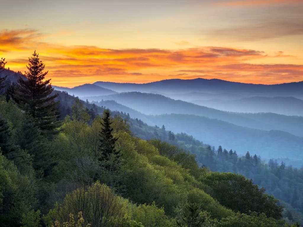 Newfound Gap Road