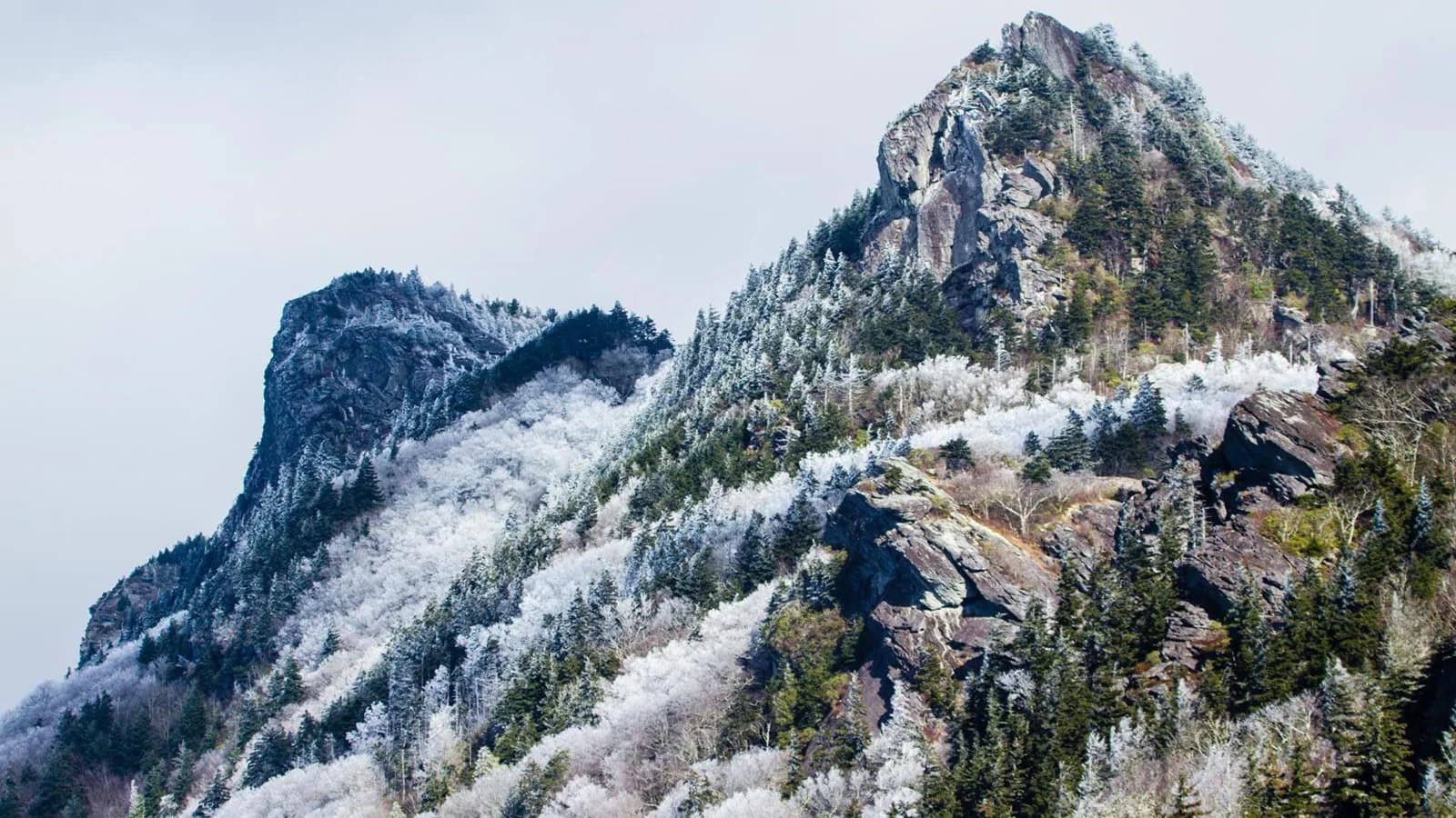 Grandfather Mountain